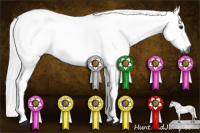 Horse Color:Gray Buckskin 