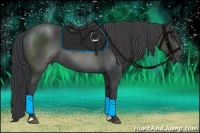 Horse Color:Black Frame 