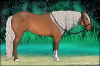 Horse Color:Silver Bay 