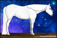 Horse Color:Gray Palomino Splash Leopard