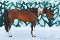 Horse Color:Bay Tobiano 