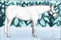 Horse Color:White Spotted Silver Smoky Black Splash Tobiano