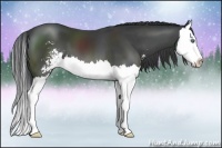 Horse Color:Black Sabino Splash