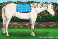 Horse Color:Perlino Roan 