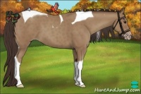Horse Color:Classic Champagne Tobiano 