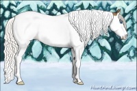 Horse Color:Silver Buckskin Splash Tobiano
