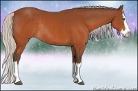 Horse Color:Silver Brown Sabino Splash Rabicano