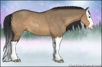 Horse Color:Brown Roan Dun Sabino Splash Rabicano