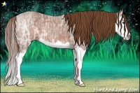 Horse Color:Chestnut Ice Splash 