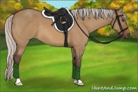 Horse Color:Silver Bay Dun