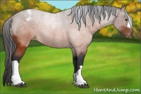 Horse Color:Brown Varnish Rabicano