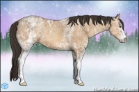 Horse Color:White Spotted Amber Champagne Ice 
