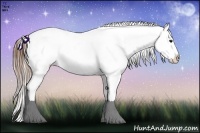 Horse Color:Buckskin Frame Snowcap Rabicano