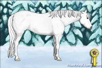 Horse Color:Gray Silver Bay Tobiano 