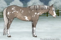 Horse Color:White Spotted Silver Smoky Black Splash Rabicano