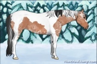 Horse Color:Bay Ice Tobiano 