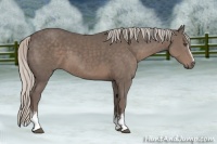 Horse Color:White Spotted Silver Black Sabino 