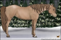 Horse Color:Black Pearl  Brindle