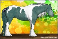 Horse Color:Watercolor Black Tobiano  Brindle