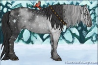 Horse Color:Black  Brindle