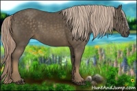 Horse Color:Chocolate Palomino Rabicano