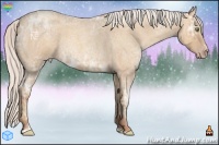 Horse Color:Silver Amber Champagne Ice Roan Sabino 