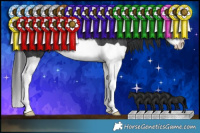 Horse Color:Black Splash Rabicano