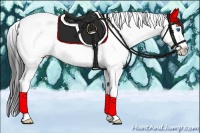 Horse Color:Black Splash Tobiano Frame Appaloosa Rabicano Brindle