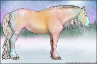 Horse Color:Silver Amber Champagne Ice Sabino Splash 