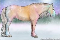 Horse Color:Silver Classic Champagne Ice Sabino Splash