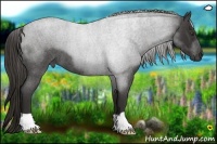 Horse Color:Liver Red Roan 