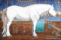 Horse Color:Buckskin Ice Pearl Appaloosa Rabicano 