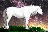 Horse Color:Smoky Black Near Leopard