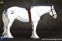 Horse Color:Smoky Creme Appaloosa 