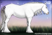 Horse Color:Brown Appaloosa Rabicano
