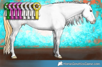 Horse Color:Buckskin Frame Varnish 