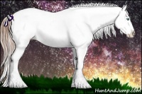 Horse Color:Buckskin Ice Pearl Snowcap Rabicano 