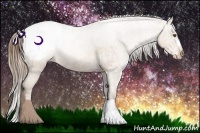 Horse Color:Bay Ice Pearl Appaloosa Rabicano