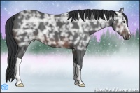Horse Color:Brown Ice 