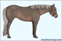 Horse Color:Silver Black Sabino 