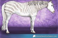 Horse Color:Silver Blue Roan Splash 