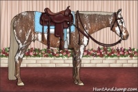 Horse Color:Liver Chestnut Sabino  Brindle