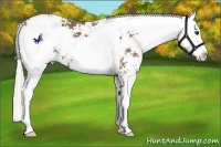 Horse Color:Silver Black Sabino 