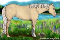 Horse Color:Silver Amber Champagne Dun 