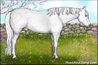 Horse Color:Gray White Spotted Bay Dun 