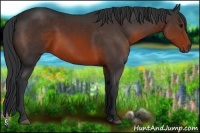Horse Color:Brown 