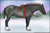 Horse Color:Black Rabicano 