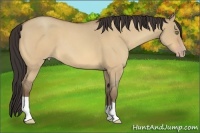 Horse Color:Amber Champagne Roan Dun