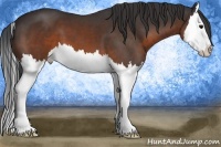 Horse Color:Brown Splash 