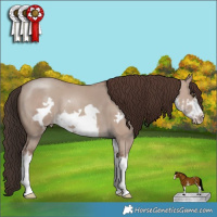 Horse Color:White Spotted Classic Champagne Dun Frame